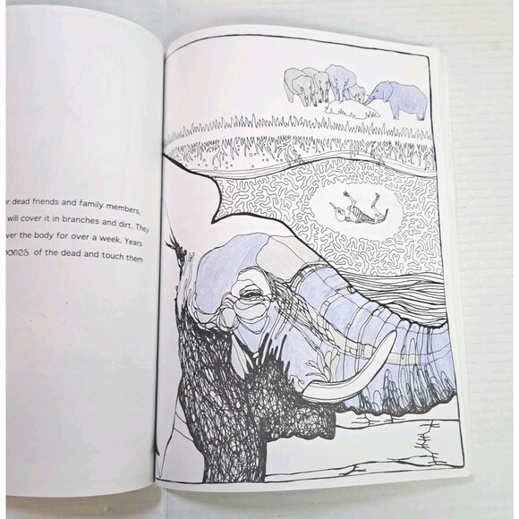 Everything Dies! A Coloring Book About Life! Adult Activity Unique Rare READ - Picture 3 of 4
